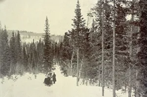 On the Biisk Line Between the Settlements of Kliuchi and Andreevsk: View on the Biisk Link... 1909. Creator: Nikolai Georgievich Katanaev