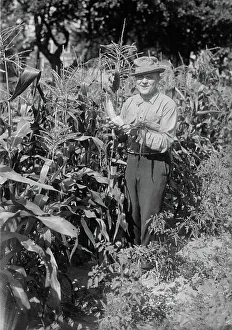 Vegetation Prints: Billy Murray, between c1915 and c1920. Creator: Bain News Service