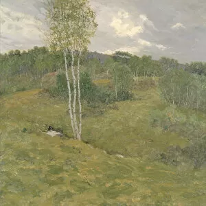 Birch-Clad Hills, ca. 1908. Creator: Ben Foster