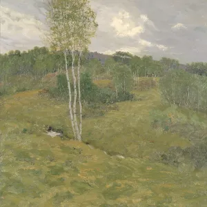 Smithsonian American Art Museum Collection: Birch-Clad Hills, ca. 1908. Creator: Ben Foster