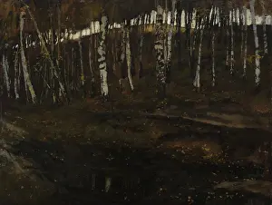 Birch Forest, 1880. Creator: Carl Schuch