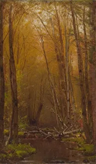 Birch Tree Prints: The Birches of the Catskills, ca. 1875. Creator: Worthington Whittredge