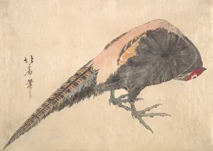 Claw Prints: Bird, 1830s. Creator: Hakusanjin Hokui