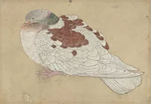 Bird, 18th century. Creator: Unknown
