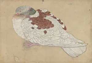 Contented Prints: Bird, 18th century. Creator: Unknown