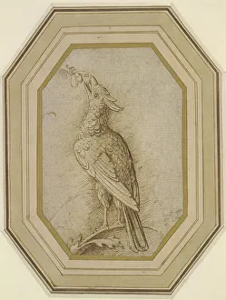 Mantegna Prints: Bird on a Branch, ca. 1470-1480. Creator: Mantegna, Andrea (1431-1506)