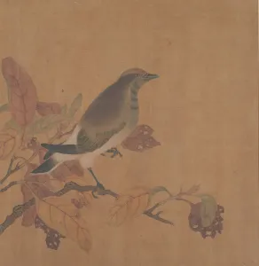 Bird on Branch. Creator: Unknown
