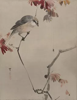 Insect Collection: Bird on Branch Watching Spider, ca. 1887. Creator: Watanabe Seitei