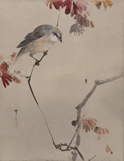 Branch Prints: Bird on Branch Watching Spider, ca. 1887. Creator: Watanabe Seitei
