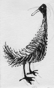 Shirley Jane Prints: Bird, c1950. Creator: Shirley Markham
