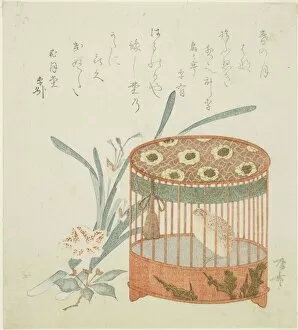 Cage Collection: Bird cage and flowers, early 19th century. Creator: Shinsai