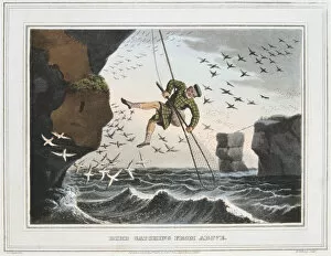 Lowering Gallery: Bird Catching from Above, Shetland Islands, 1813