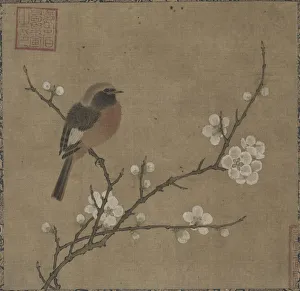 1127 1279 Prints: Bird on a Flowering Branch, 1100s. Creator: Unknown