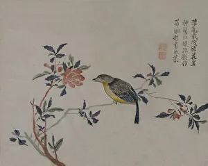 Bird on a Flowering Branch, 19th century. Creator: Unknown