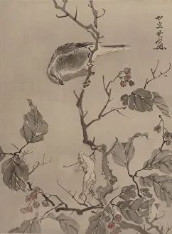 Kawanabe Kyosai Prints: Bird and Frog, ca. 1887. Creator: Kawanabe Kyosai