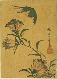 Yotsugiriban Prints: Bird and gentian, c. 1830s. Creator: Ando Hiroshige