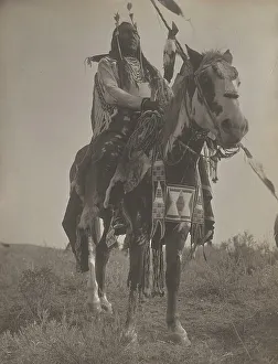 Silver Gelatin Print Prints: Bird On the Ground, 1908. Creator: Edward Sheriff Curtis