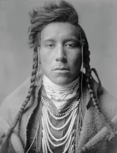 Bird on High Land, c1908. Creator: Edward Sheriff Curtis
