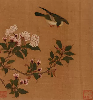 Images Dated 20th August 2021: A bird hovering over blossoming branches, Qing dynasty, 18th century. Creator: Unknown