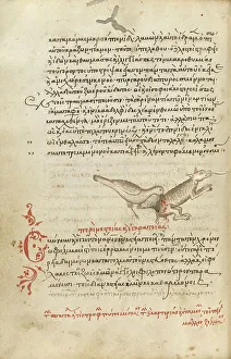 A Bird Pecking at an Animal; Miscellany: Physiologus: other texts, 1510-1520. Creator: Unknown