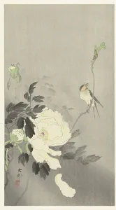 Landscapeanimals And Birds Prints: Bird and peony, 1920-1930. Creator: Ohara, Koson (1877-1945)