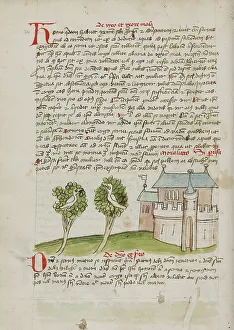 A Bird Perched in a Tree near a Town; Fables, third quarter of 15th century. Creator: Unknown