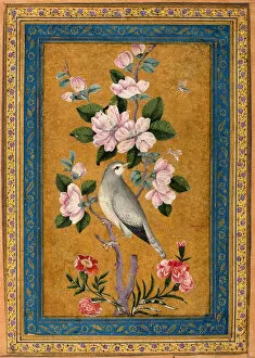 Images Dated 8th March 2011: Bird Perching on a Blossoming Branch, 1696
