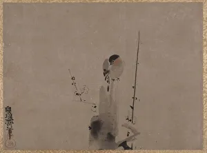 Kano Naonobu Prints: Bird on a Plum Tree. Creator: Kano Naonobu