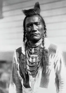 Braids Prints: Bird Rattle, 1909, c1910. Creator: Edward Sheriff Curtis
