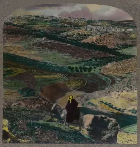 Vinery Prints: Bird s-eye view of Bethlehem, with vineyards and olive groves, c1900