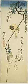 Hiroshige I Gallery: Bird on silky wisteria, 1830s-1840s. Creator: Ando Hiroshige