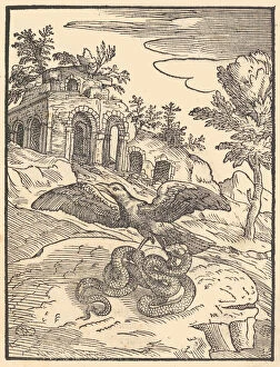 Printed Book With Woodcut Illustrations Collection: Bird and snake, 1570. Creator: Giovanni Maria Verdizotti