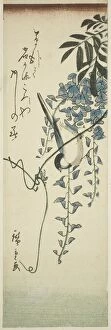 Bird and wisteria, n.d. Creator: Ando Hiroshige