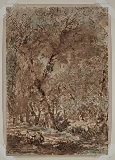 Climbing Prints: A - Birding, between 1812 and 1867. Creator: Theodore Rousseau