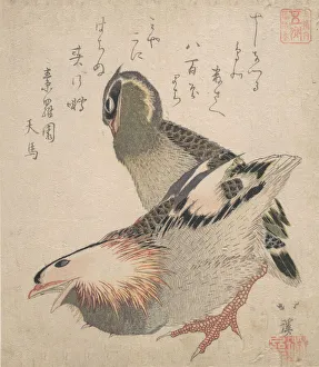 Kyosai Prints: Two Birds. Creator: Totoya Hokkei