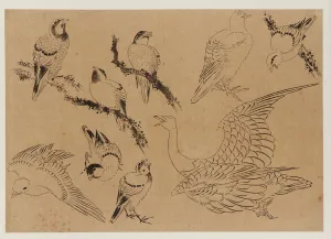 Birds, Edo period, late 18th-early 19th century. Creator: Hokusai Birds, Edo period, late 18th-early 19th century. Creator: Hokusai