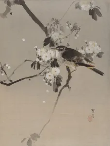 Album Leaf Gallery: Birds on a Flowering Branch, ca. 1887. Creator: Watanabe Seitei