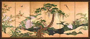 Birds and Flowers of Spring and Summer, Second Half of the 17th cen Artist: Eino, Kano (1631-1697)