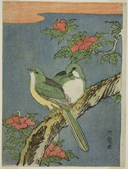Koryusai Isoda Prints: Two Birds on Hibiscus Tree, c. 1770. Creator: Isoda Koryusai
