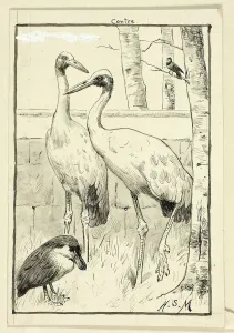 Four Birds in Landscape, n. d. Creator: Henry Stacy Marks