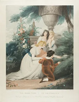 Animal Home Prints: The Bird's Nest, n.d. Creator: Charles Knight