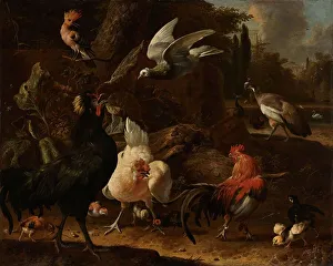 Chick Prints: Birds in a Park, 1686. Creator: Melchior d'Hondecoeter