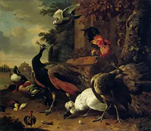 Chicken Prints: Birds in a Park, 1686. Creator: Melchior d'Hondecoeter