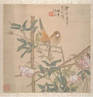 Two Birds Perched on a Flowering Rose Bush, late 19th century. Creator: Ren Yi