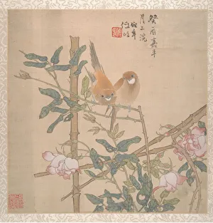 Thorn Prints: Two Birds Perched on a Flowering Rose Bush, late 19th century. Creator: Ren Yi