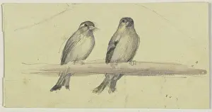 Songbird Prints: Two birds on a pole, 19th century. Creator: Jakob Becker