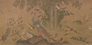 Peacocks Collection: A Hundred Birds Worship the Phoenixes, Qing dynasty, 18th century. Creator: Unknown