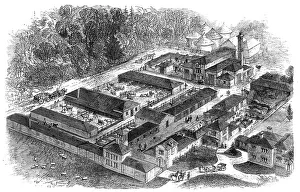 Birdseye view of the late Prince Consort's model farm at Windsor, 1862. Creator: Unknown
