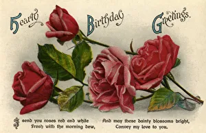 Images Dated 12th January 2009: Birthday card, c1900-1929(?)