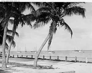 Biscayne Bay, Miami, Fla. c.between 1910 and 1920. Creator: William H. Jackson